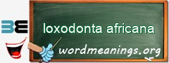 WordMeaning blackboard for loxodonta africana